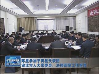 陳星參加平輿代表團審議市人大常委會、法檢兩院工作報