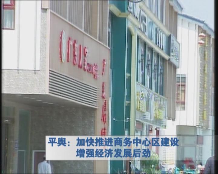 平輿：加快推進商務中心區(qū)建設增強經(jīng)濟發(fā)展后勁